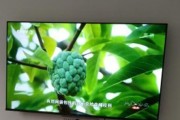 电视机无法开机怎么办（解决电视机无法开机的方法与技巧）