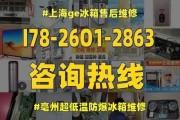 如何修理三洋低温冰箱故障代码E10（简单维修方法和注意事项）
