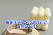 狼蛛手环怎么下游戏？下载和安装游戏的步骤是什么？