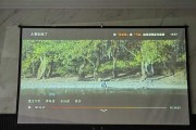 解决投影仪偏色问题的有效方法（投影仪颜色校准技巧及故障排除指南）