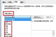 电脑突然没声音怎么办（解决电脑无声问题的有效方法）
