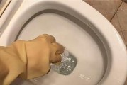 解决马桶堵塞问题的实用方法（马桶堵塞急救101）