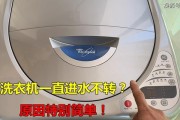 洗衣机进水口一直进水的原因与解决方法（探究洗衣机进水口持续进水问题的根源）