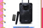 新科v663音响音质如何？用户评价怎么样？