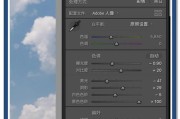 佳能滤镜视频制作技巧？如何应用到视频中？