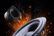 吉他音箱6.5英寸扬声器如何调整？
