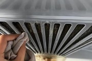 油烟机的油垢清洗方法详解（清洗鲍鱼的小窍门）