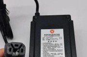 车电瓶充电器重置方法是什么？需要哪些步骤？