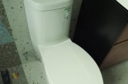 科勒马桶上水不停的原因及解决方法（探究科勒马桶上水不停的背后原因）