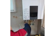 壁挂炉自检方法及注意事项（如何正确自检壁挂炉以确保安全使用）