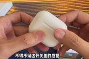 如何使用蓝牙耳机检测工具（一步步教你使用检测工具进行耳机测试）