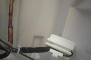 解决冰箱渗水问题的方法与注意事项（有效应对冰箱漏水）