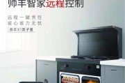 集成灶高温问题的解决方法（如何有效降低集成灶高温的风险与损害）