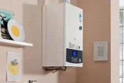 壁挂炉长期停用怎么办（如何正确保养和储存壁挂炉）