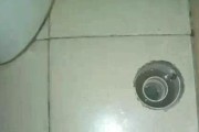 洗衣机下水道异味处理方法（去除洗衣机下水道异味的有效技巧）