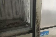 冰箱白胶发霉了怎么办？有效清洁方法有哪些？