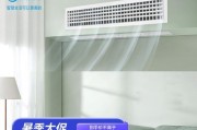 新中央空调出现异味的原因及解决方法（探究新中央空调发出异味的根源和有效处理措施）