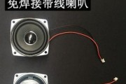 自制电子喇叭音箱的步骤是什么？