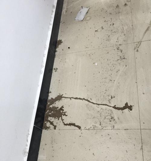 厨房油烟机上出现虫子问题的原因及解决方法（仔细观察清洁）