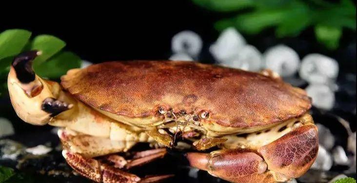如何去除冰箱里海鲜的异味（简单有效的海鲜味道消除方法）