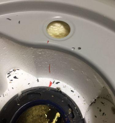 如何正确清洗好迪电热水器（简单易行的清洗方法）