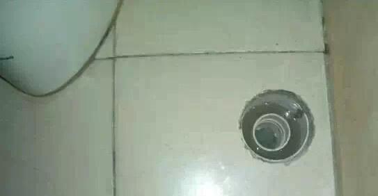 洗衣机下水道异味处理方法（去除洗衣机下水道异味的有效技巧）