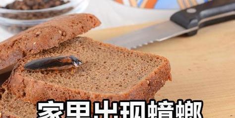 咖啡机成为蟑螂的温床——探究原因及防治方法（揭开咖啡机成为蟑螂滋生地的谜团）