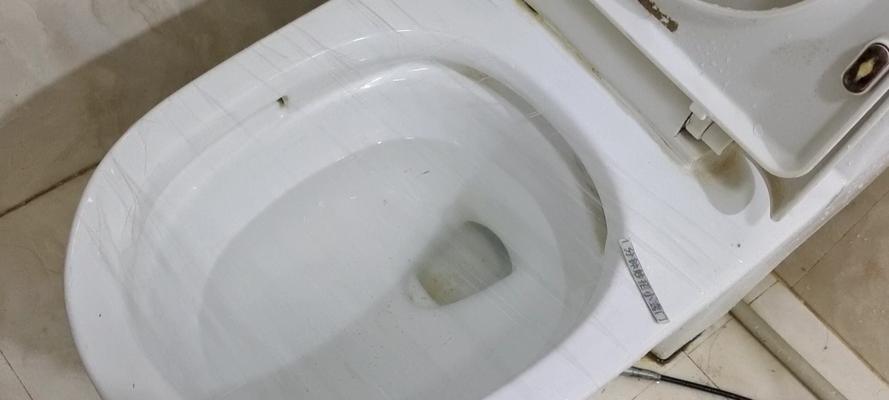 解决马桶堵塞问题的实用方法（马桶堵塞急救101）