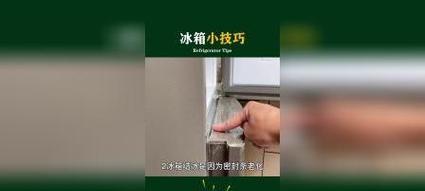 冰箱清洗省钱攻略（省钱小妙招让你的冰箱保持清洁与高效）