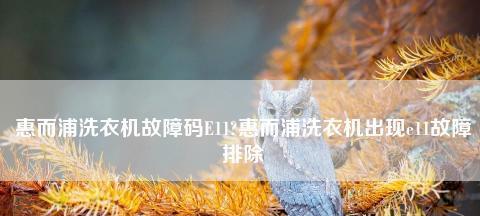 惠而浦洗衣机故障代码E2的处理方法（详细原因分析及解决方案）