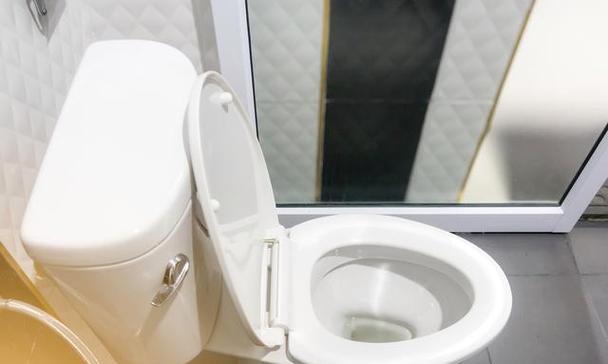 马桶滴水声的原因及维修方法（解决滴水声问题）