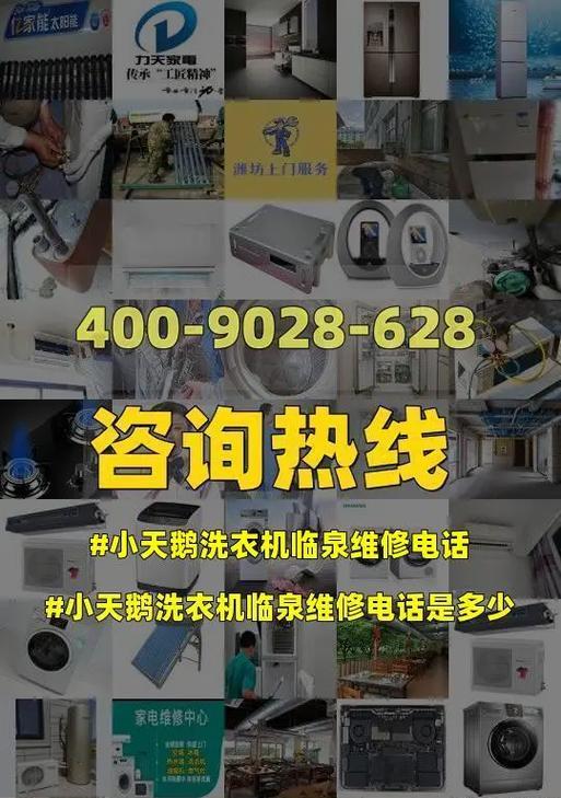 小天鹅洗衣机E2故障处理方法（解决洗衣机出现E2错误的有效措施）