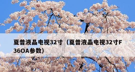 夏普电视故障代码解析（常见夏普电视故障代码及解决方法）
