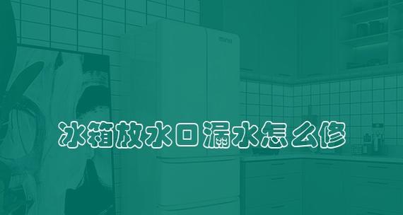 冰箱小孔堵上的实用方法（保持食物新鲜不流失的小技巧）