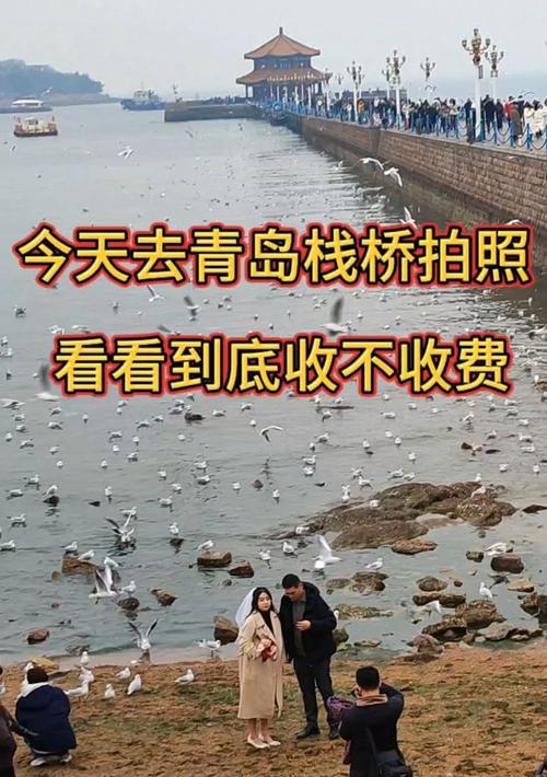 小米手机在青岛栈桥拍照技巧有哪些？
