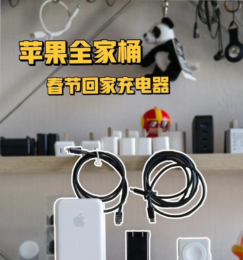 车辆手机快递充电器使用指南？