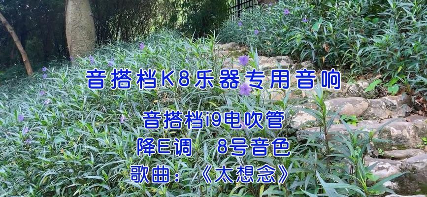 音箱内录收音效果不好怎么办？提高内录音质的技巧是什么？