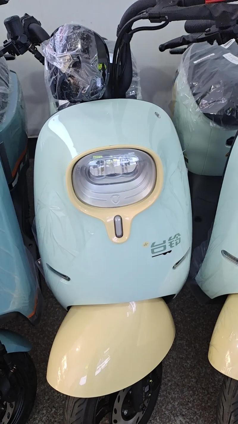 台铃充电器不显红灯的可能原因是什么？如何排查？