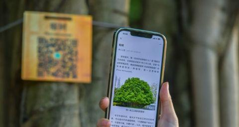树木监测摄像头手机操作方法是什么？使用中遇到问题怎么解决？