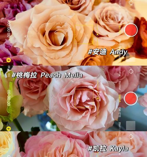 苹果手机壳上的绿光如何去除？