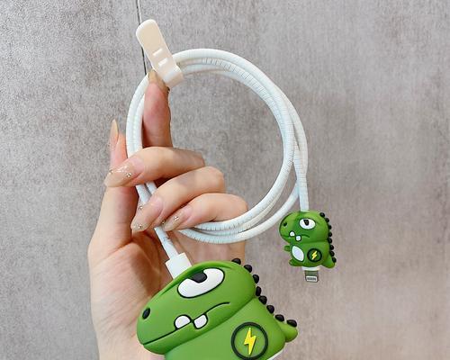 充电器上两个闪电标志含义？使用注意事项？