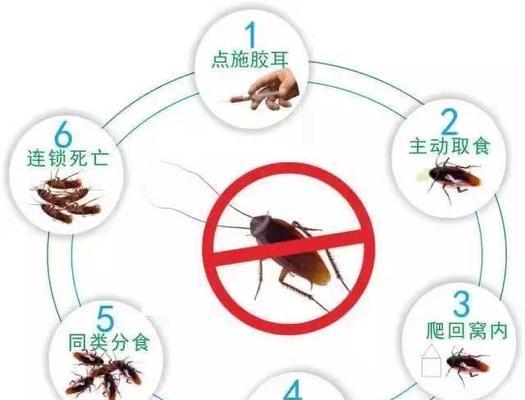 电视机后面蟑螂怎么清理？有效方法有哪些？