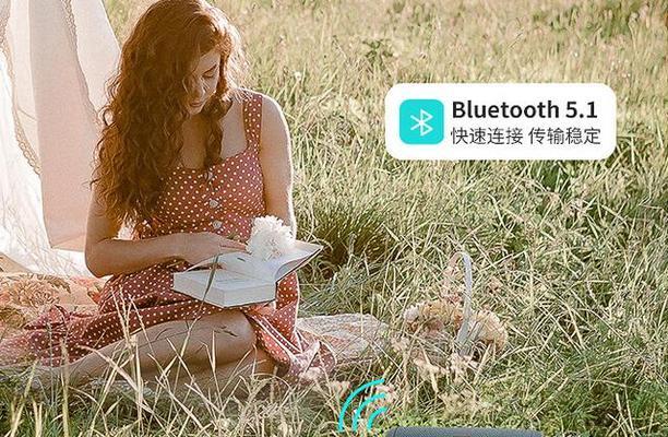龙韵电瓶音响的性价比如何？