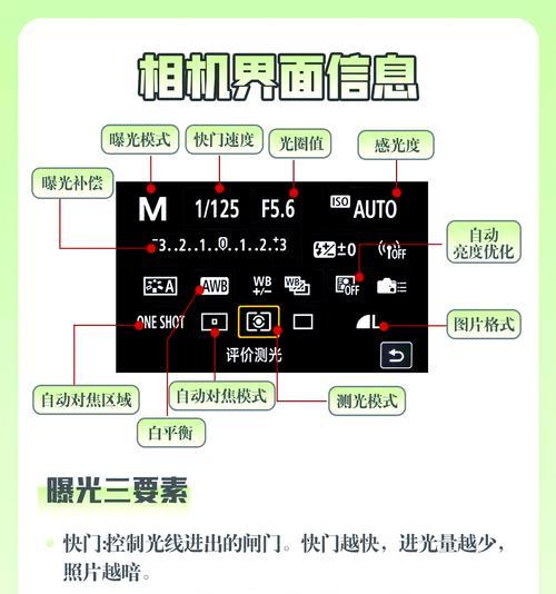 佳能相机预览图放大方法是什么？如何提高查看细节的效率？