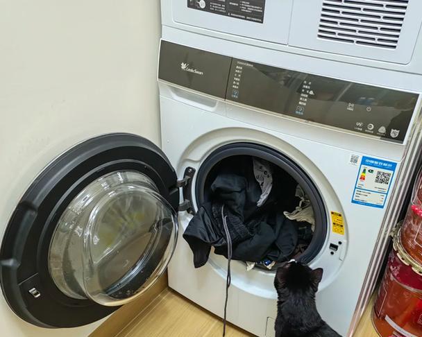 洗衣机内拍摄是什么意思？如何进行洗衣机内拍摄？