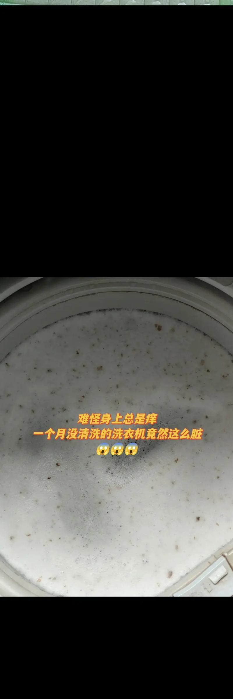 水卫仕清洁后洗衣机有异味的原因？