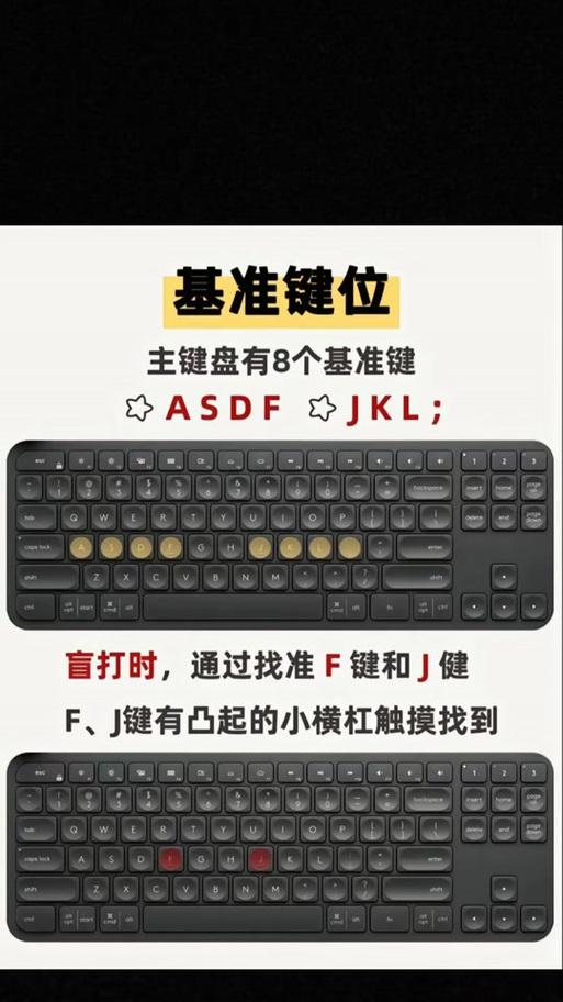 键盘中的PET材料是什么？它对键盘性能有何影响？