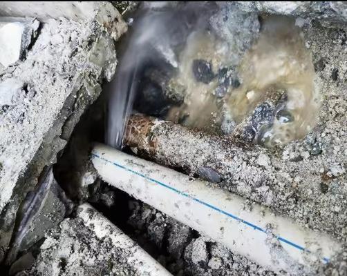 移动硬盘进水后如何检测？维修店有哪些检测方法？