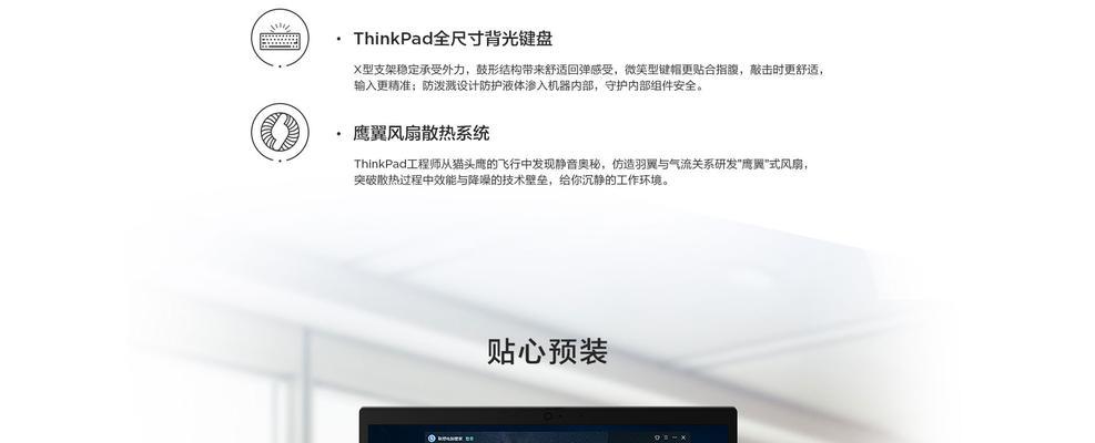 苹果工程师鼠标使用方法是什么？如何调整设置？
