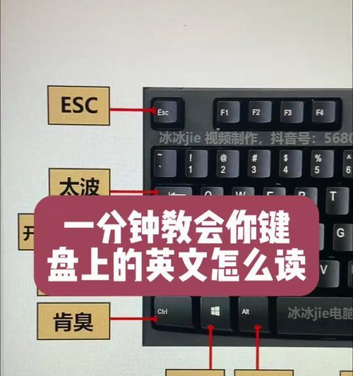 电脑下载trapp的步骤是什么？